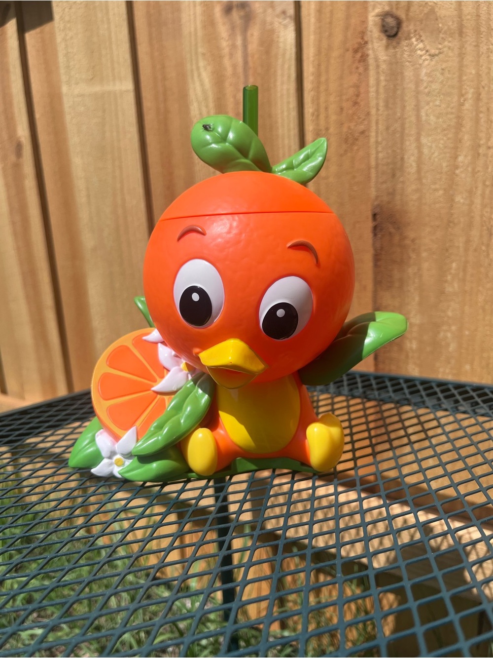 Disney Parks orange bird sipper EPCOT flower and garden festival
